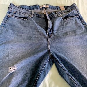 Levi signature size 20